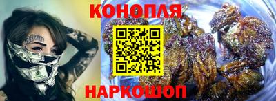 шишки Усть-Джегута