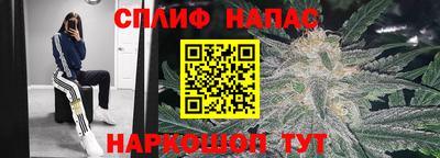 шишки Усть-Джегута