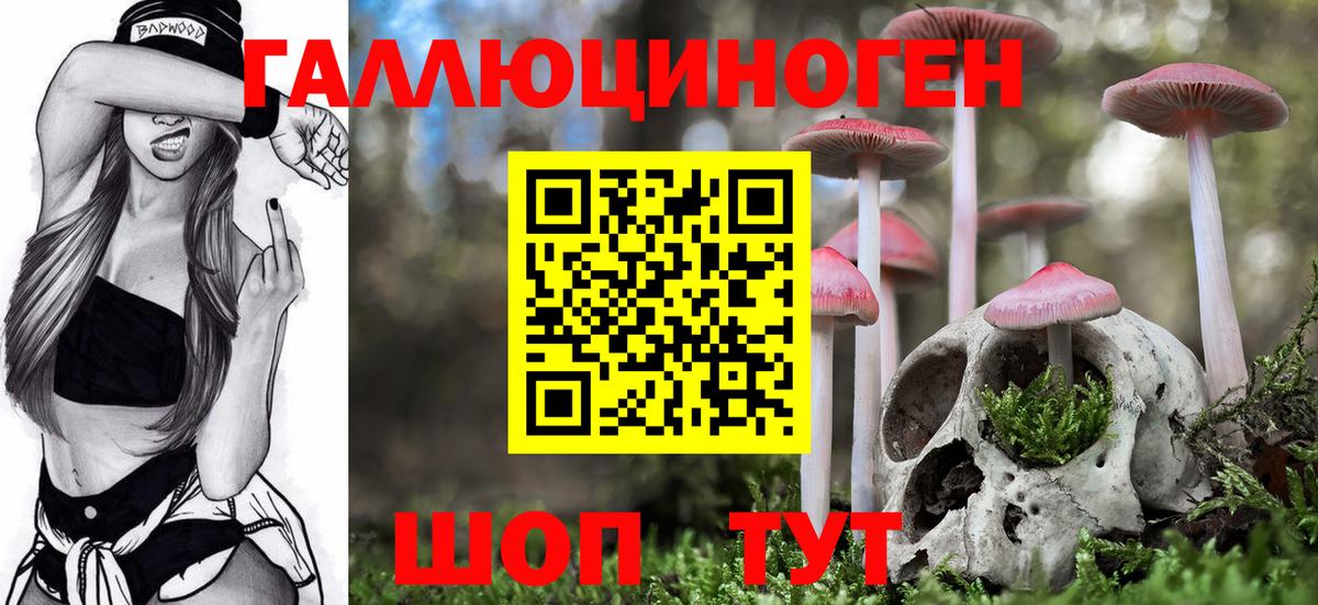 Псилоцибиновые грибы ЛСД Минеральные Воды